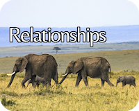 Moral Judgments and the end of relationships