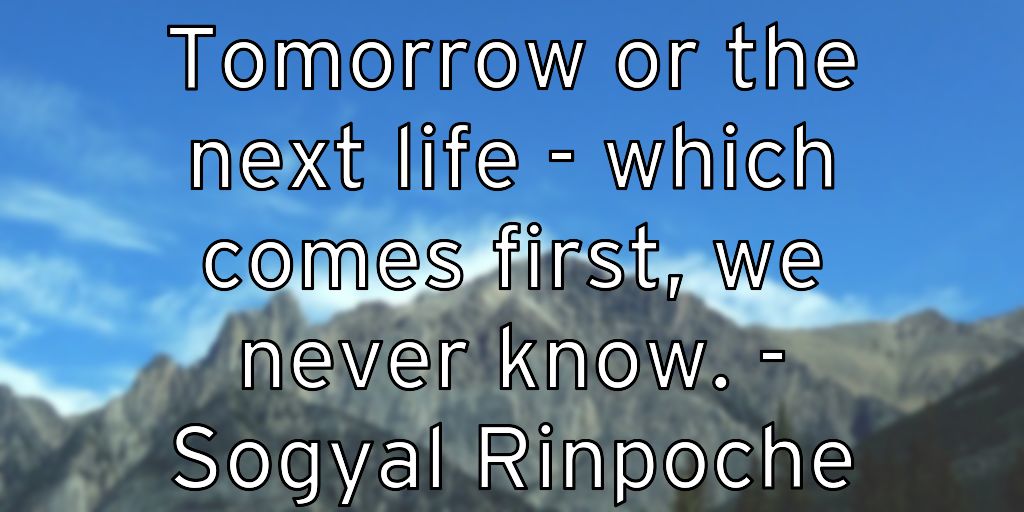 Tomorrow or the next life – which comes first, we never know. – Sogyal Rinpoche