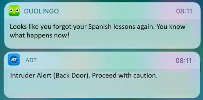 A duolingo meme to break up the seriousness.